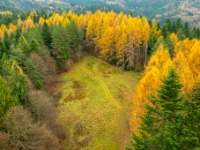 Muszyna, Malnik